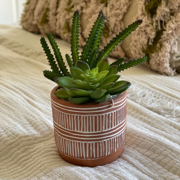 Small Faux Succulent Plant